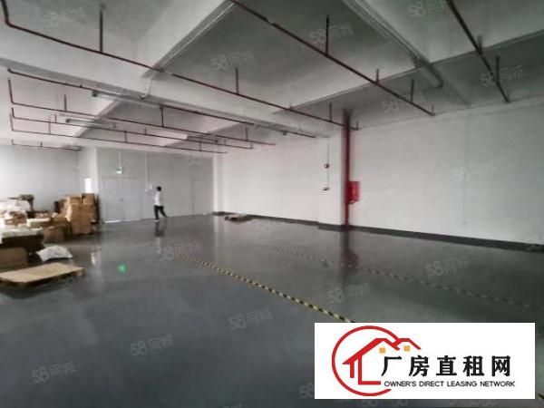  公明新出原房东3楼1100带精装修厂房出租！