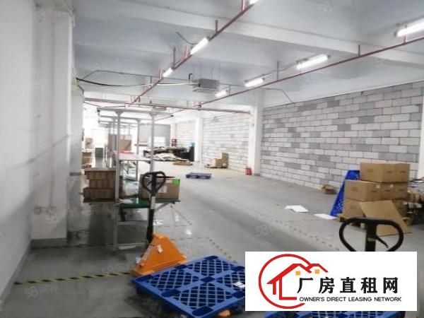  公明上村主路一楼1500平方合适物流电商研发等行业
