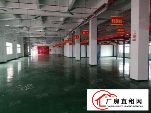  公明上村主路一楼1500平方合适物流电商研发等行业