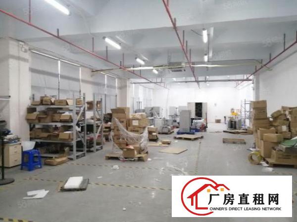  公明上村主路一楼1500平方合适物流电商研发等行业
