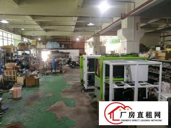  光明玉律新出一楼精装修980平方厂房，水电到位，带有阁楼