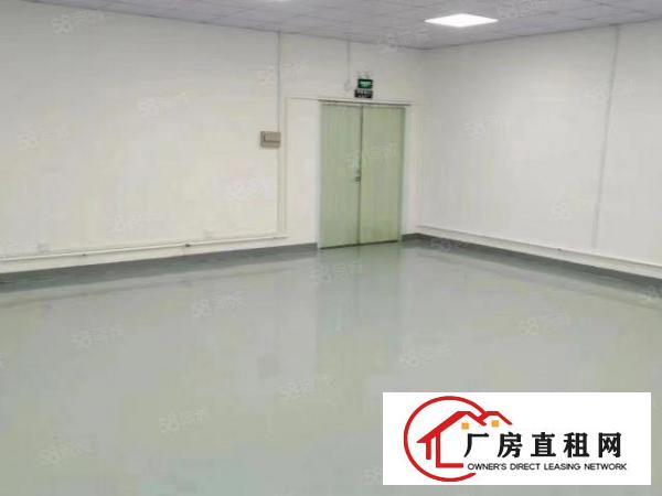  光明，公明西田街道新出1380平米带精装修厂房出租
