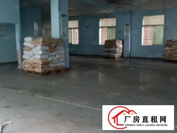  光明玉律松白路旁厂房出租700平价格好谈