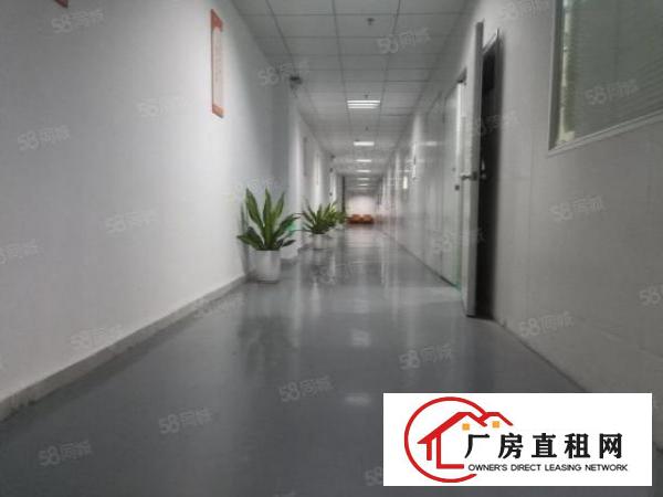  光明田寮高新区7800平12层可单层出租.价格面谈.