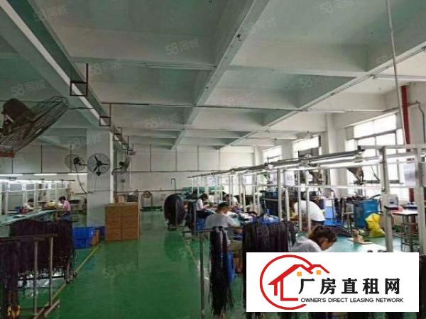  （精装修600平方）公明上村大型园区，配套完善可办环评