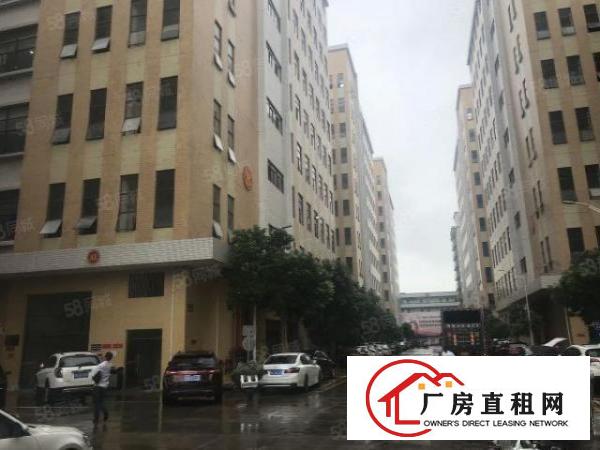  （精装修600平方）公明上村大型园区，配套完善可办环评