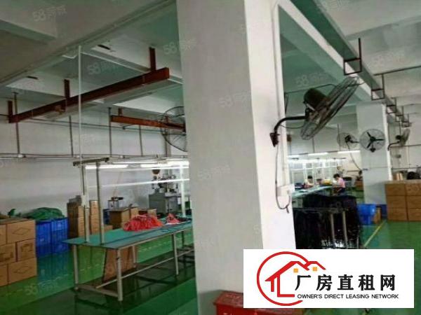  （精装修600平方）公明上村大型园区，配套完善可办环评