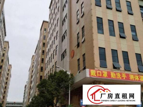  公明工业区200平方起厂房出租大小可分租环境优美交通便利