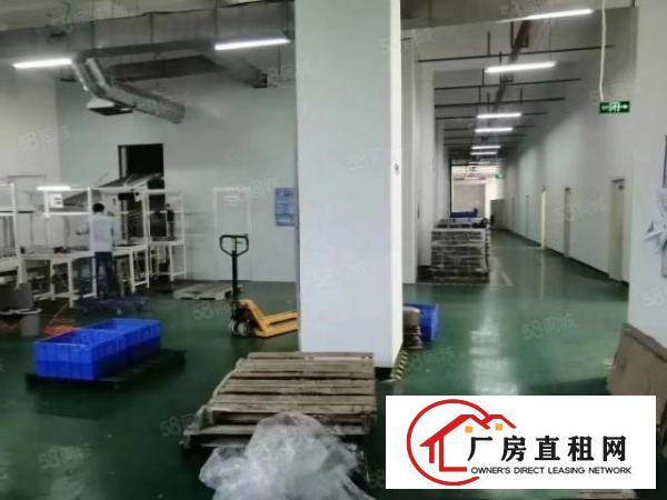  公明田寮原房东整层一楼2000平米