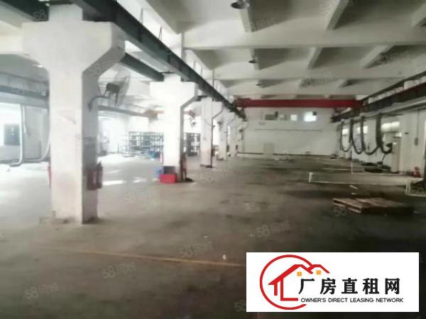  公明上村新出两栋独门独院2500,3600平米厂房出租