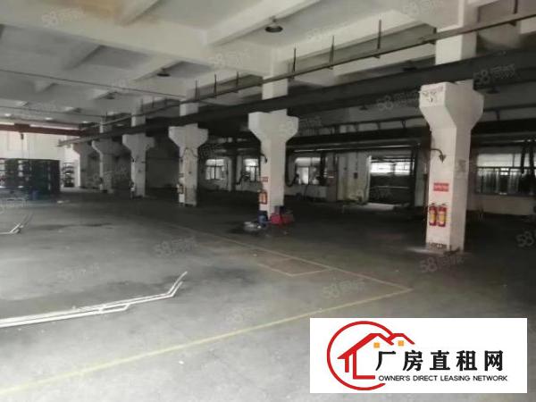  公明上村新出两栋独门独院2500,3600平米厂房出租