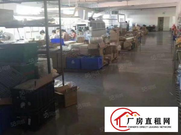 公明上村新出两栋独门独院2500,3600平米厂房出租