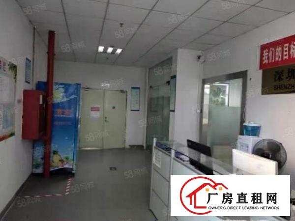  （楼上精装3500平面积实在，可分租一半公明楼村）公明光明