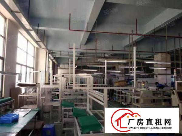  （楼上精装3500平面积实在，可分租一半公明楼村）公明光明