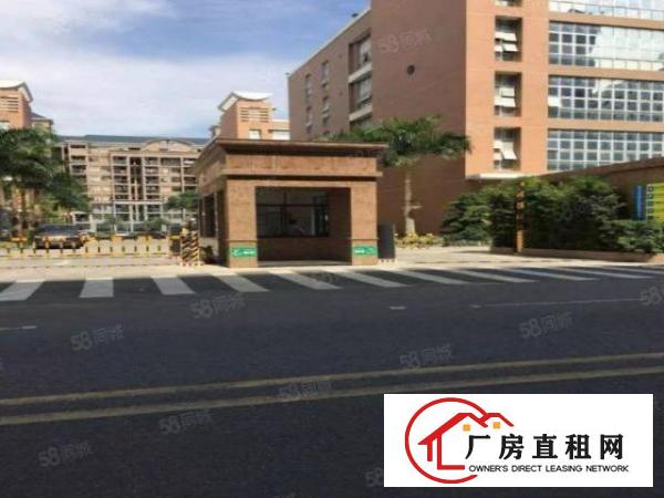  （楼上精装3500平面积实在，可分租一半公明楼村）公明光明