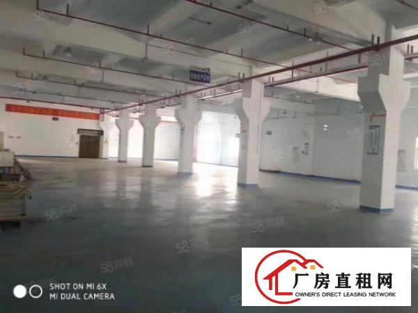  公明玉律2650平方独院厂房带装修出租