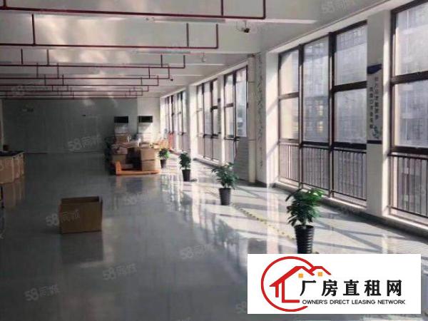  公明形象超高出租300500600平出租精装修