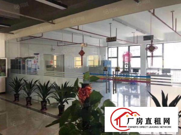  公明形象超高出租300500600平出租精装修