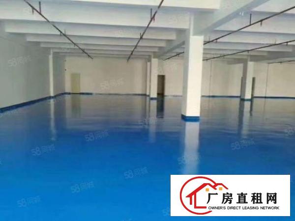  公明形象超高出租300500600平出租精装修