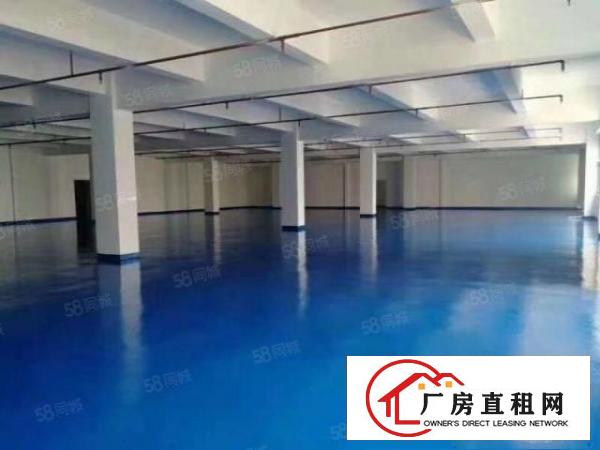  公明形象超高出租300500600平出租精装修