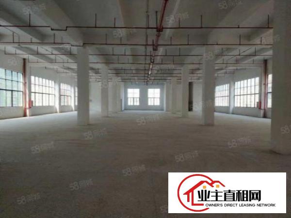  出租公明田寮大型园区1.5万平可分600平起，配套齐全，易招