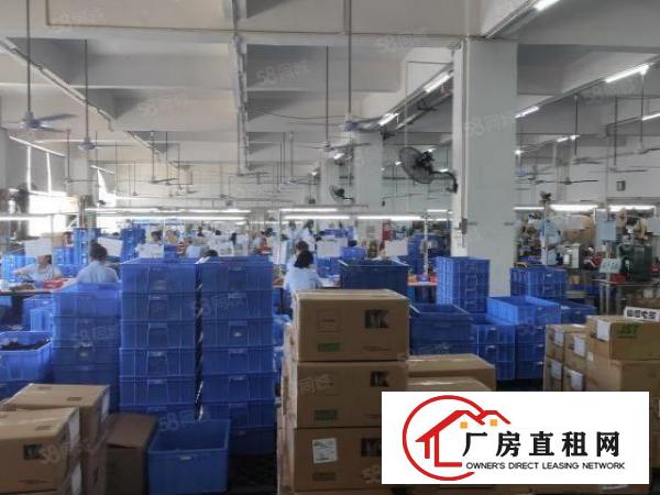  光明公明原房东独院一楼带牛角整租分租可办环评临高速口地铁出口