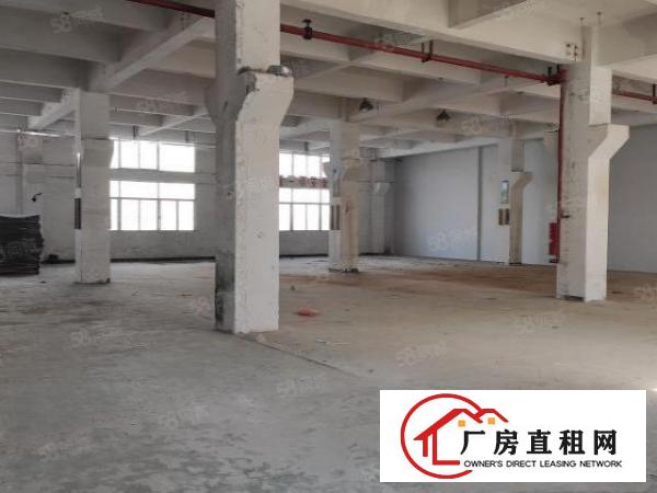  光明公明原房东独院一楼带牛角整租分租可办环评临高速口地铁出口