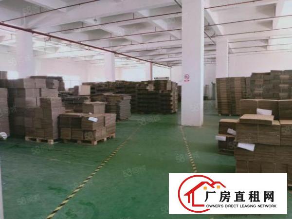  公明鲤鱼河楼上一整层1900平，无公摊，有装修，无需转让费
