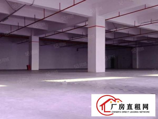  上村楼上实际面积1000平方出租