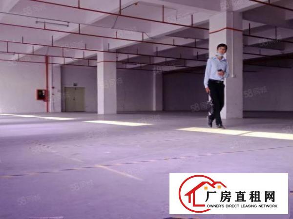  上村楼上实际面积1000平方出租