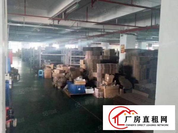  公明松白路边新出360，450,680平米带装修厂房出租
