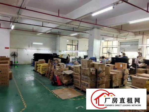  公明松白路边新出360，450,680平米带装修厂房出租