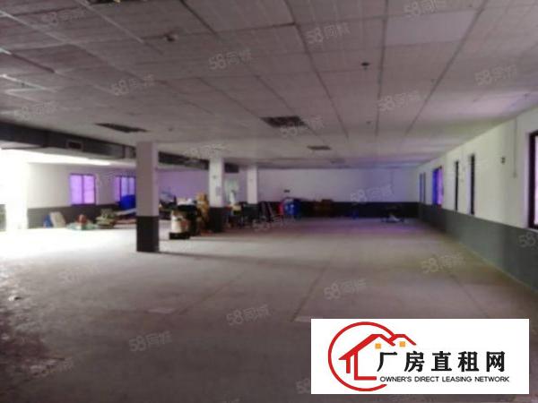  公明下村街道村委厂房1楼3250，2楼1500平米大小可分租