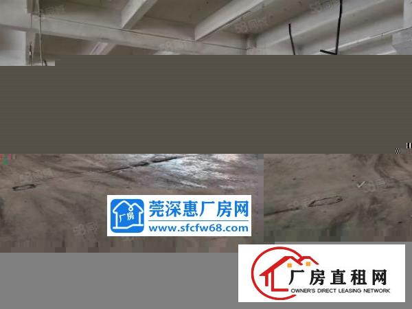  业主直租光明研祥附近5.5米二楼五楼各1300平方