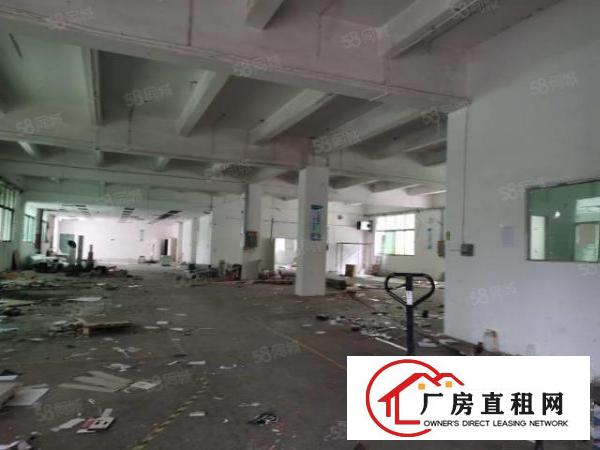  公明李松朗一楼单层面积1680，高度5米带办公室精装修。