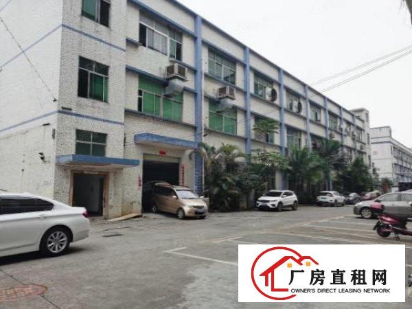  公明李松朗一楼单层面积1680，高度5米带办公室精装修。
