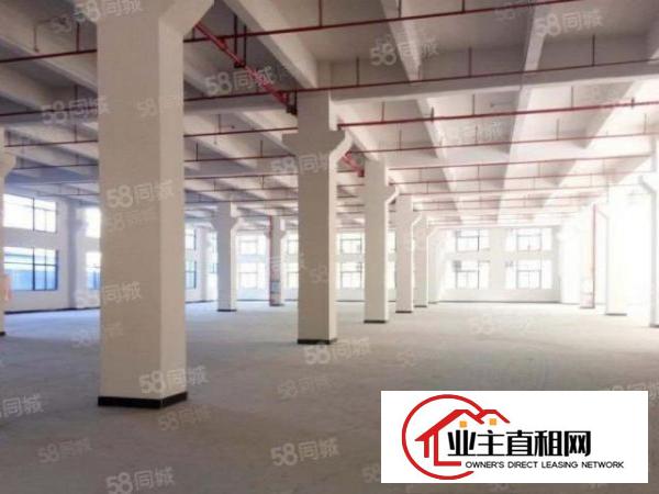  （一手盘）原房东！大型园区1.5万平500平起租，小面积福音