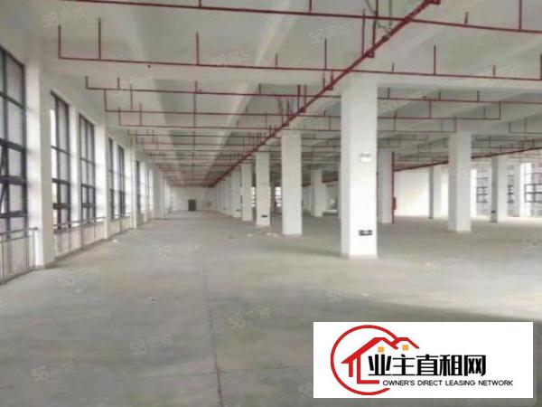  （一手盘）原房东！大型园区1.5万平500平起租，小面积福音