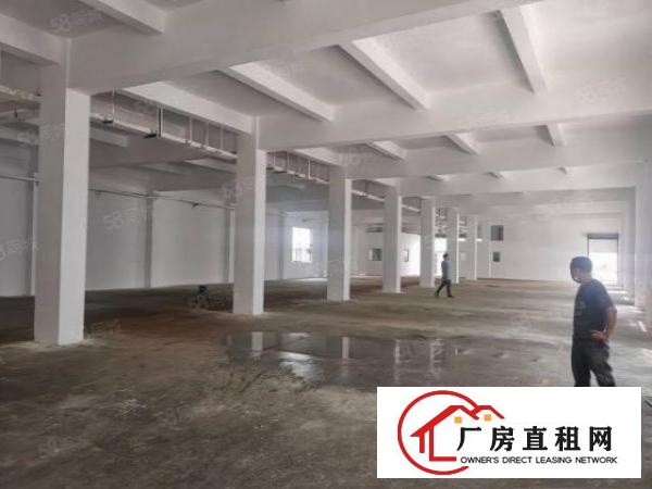  公明田寮新出5米高一楼1300平厂房招租