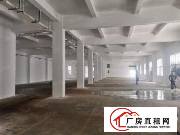  公明田寮新出5米高一楼1300平厂房招租