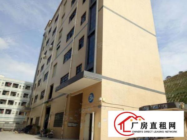  公明上村北环路边精装修厂房仓库1300平无转让费
