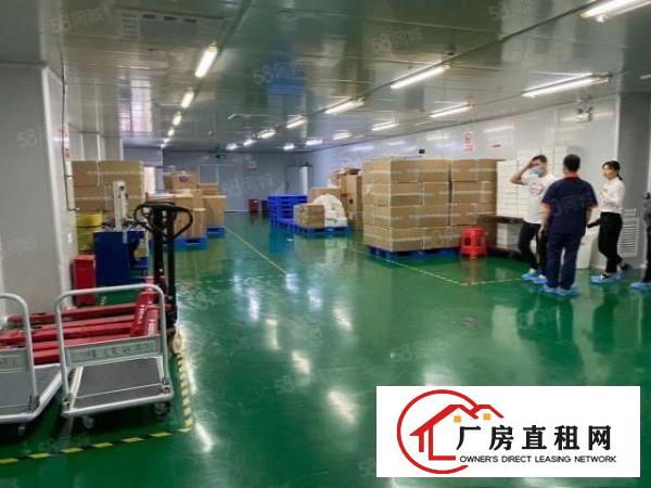  光明主干道旁大型园区3300平厂房出租，无尘车间，无转让费