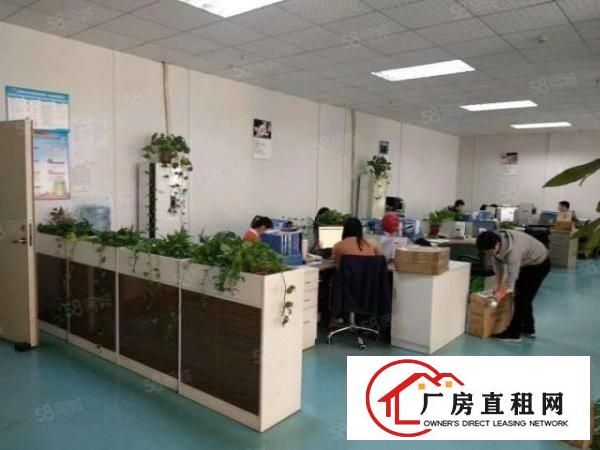  公明新围新出楼上1000平标标准厂房