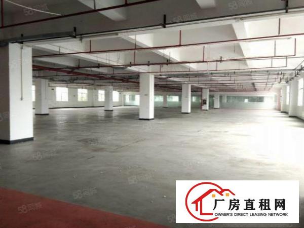  高速口附近，红本原房东花园式厂房整层3900平带装修免转让费