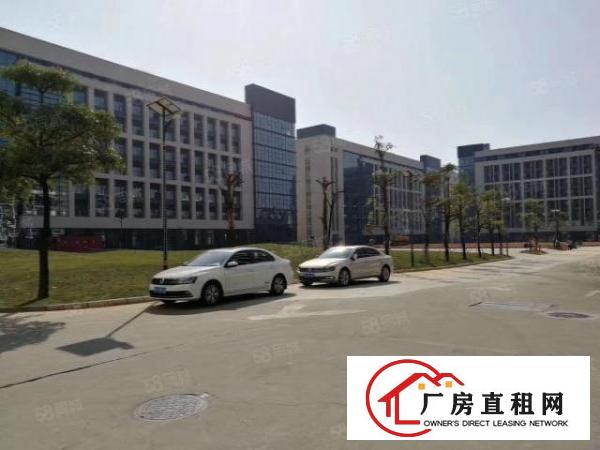  公明上村新出原房东楼上1200平方厂房招租