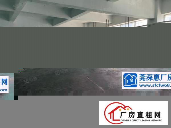  光明公明原房东独院整租分租高速口地铁口6000平红本可办环评
