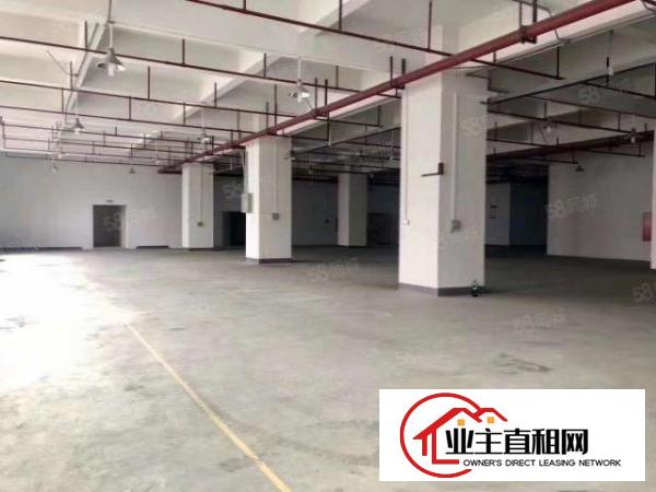  公明原房东2400平红本厂房出租易招工大小可分租