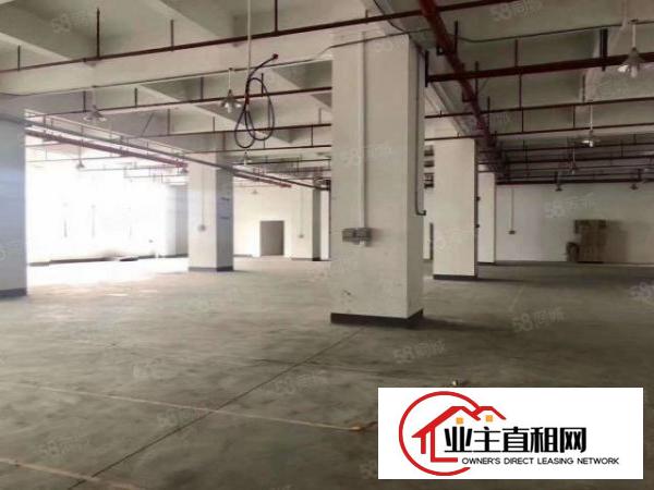  公明原房东2400平红本厂房出租易招工大小可分租