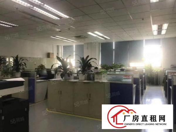  （便宜）光明北环路新出1楼3楼1580平厂房出租