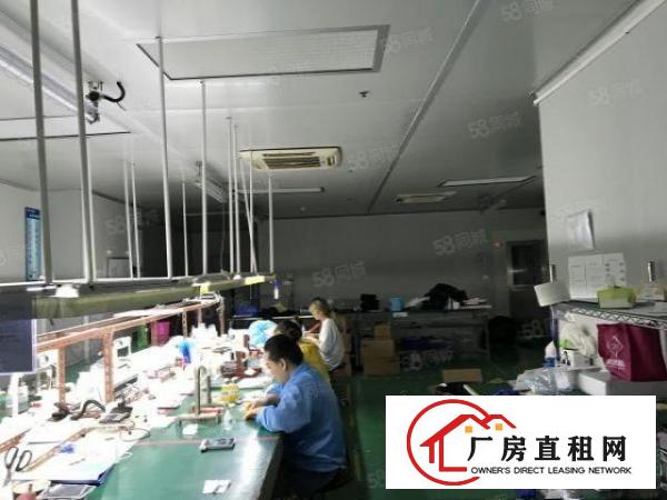  楼上精装980平车间干净明亮适合做电子，LED等各种行业